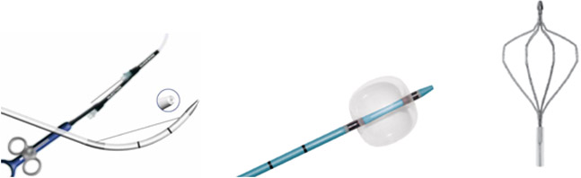 endoscopia digestiva